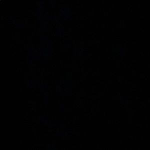 Meet your Posher, Jada